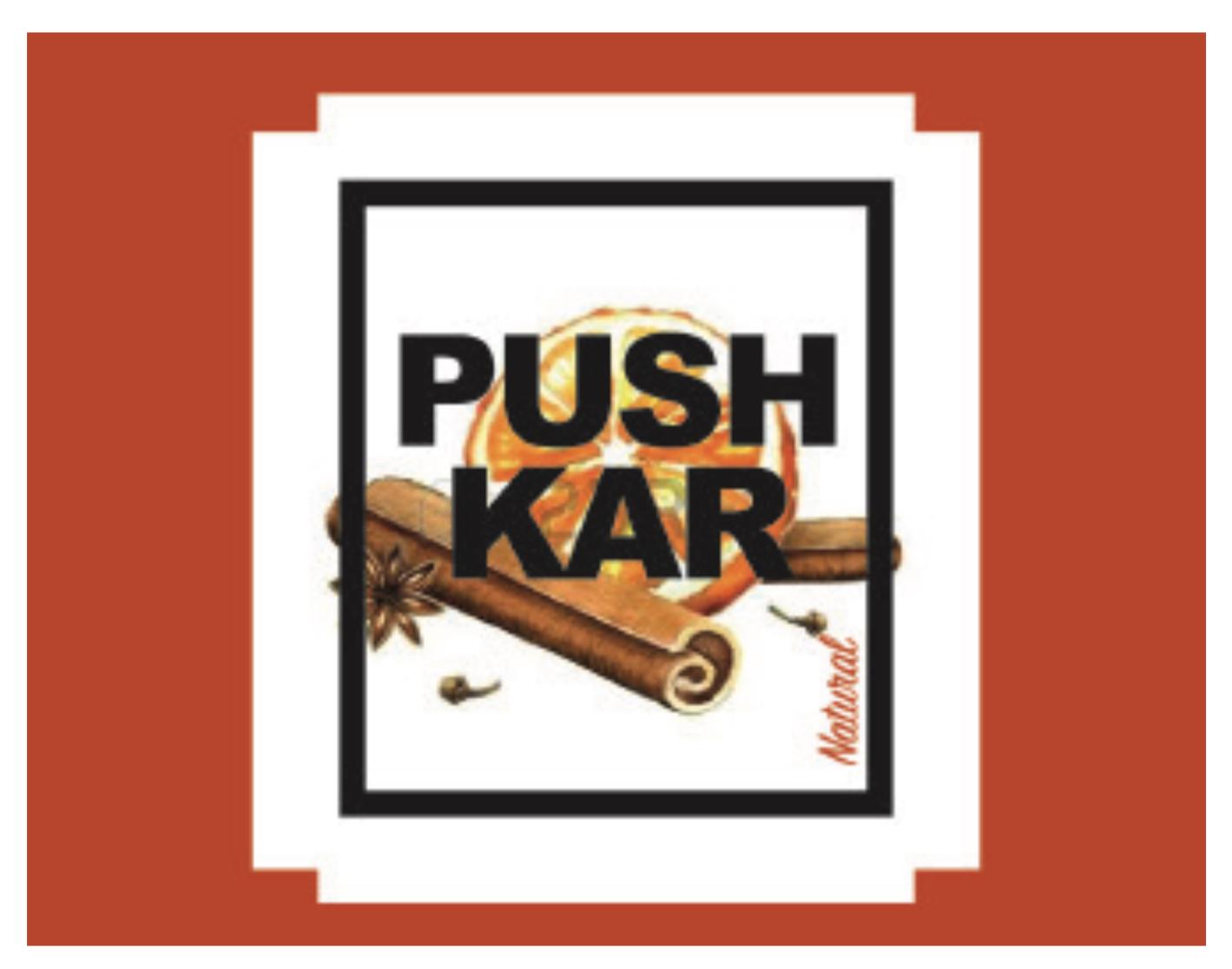 pushkar