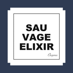 Esenta parfum Ambiseint pentru difuzoare - SAUVAGE ELIXIR