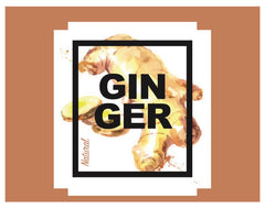 Parfum profesional Ambiseint pentru difuzoare de aroma GINGER