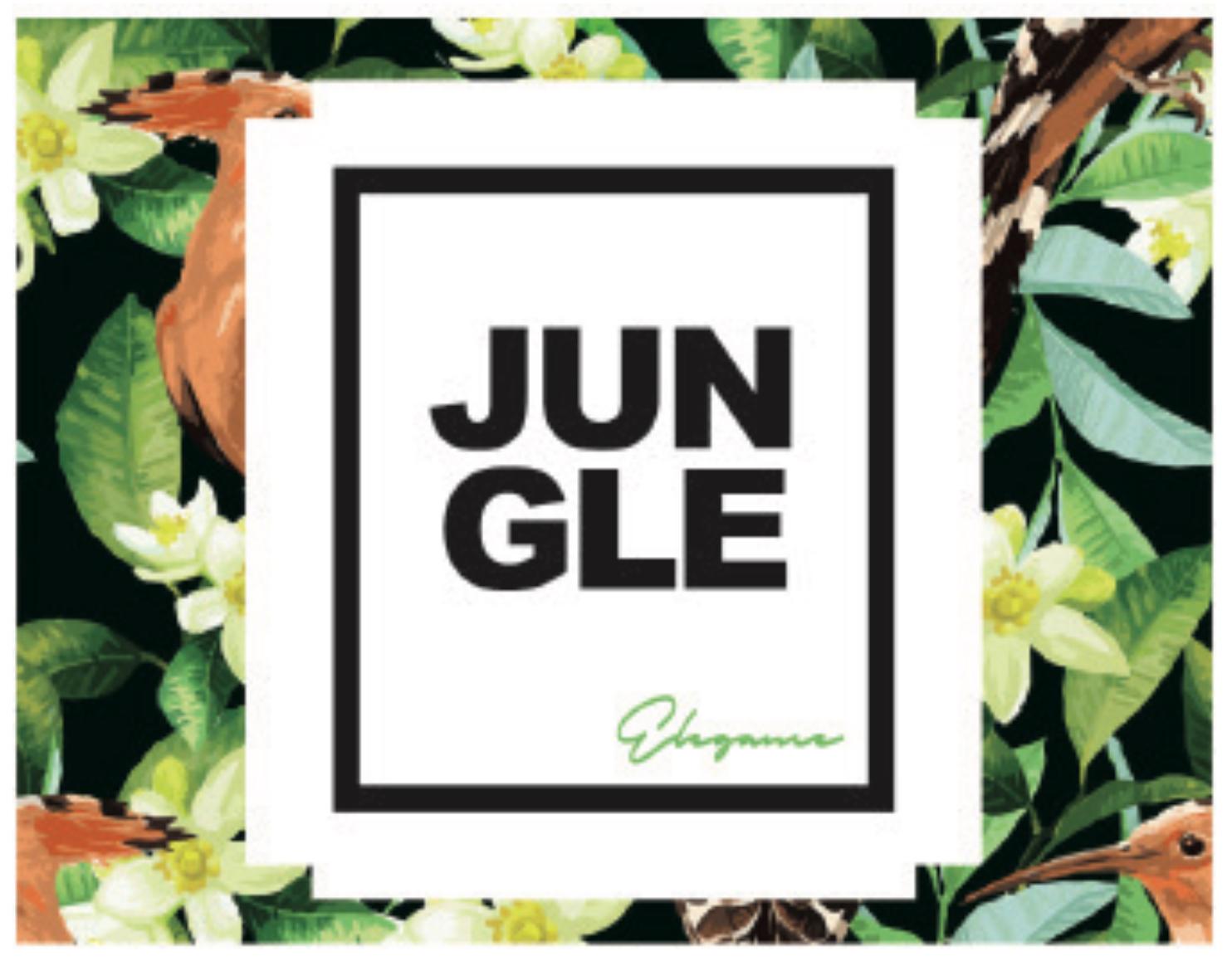 Parfum profesional Ambiseint pentru difuzoare de aroma Jungle
